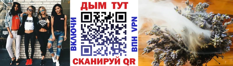 LSD-25 Кадников