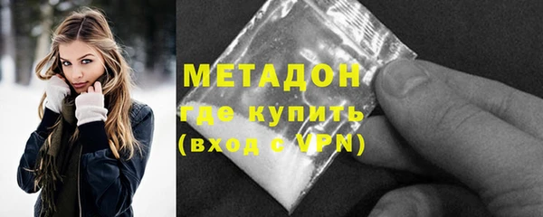 прущие грибы Лабытнанги