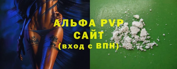 прущие грибы Лабытнанги