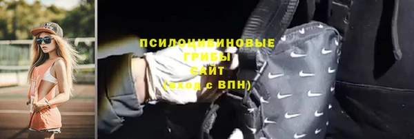 не бодяженный Ладушкин