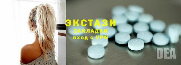 прущие грибы Лабытнанги