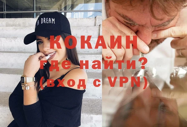 прущие грибы Лабытнанги