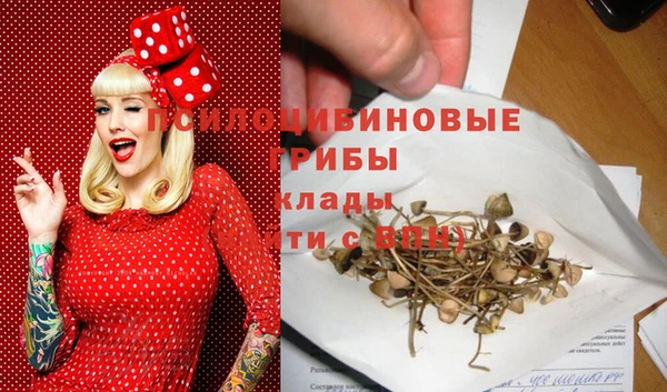 прущие грибы Лабытнанги