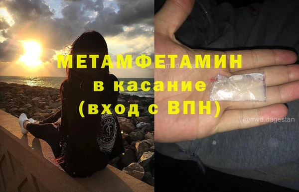 прущие грибы Лабытнанги