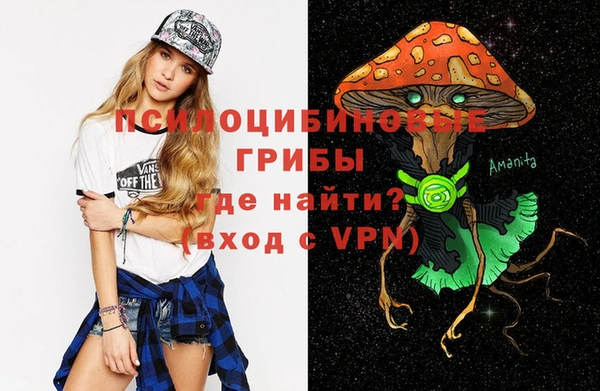 не бодяженный Ладушкин