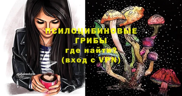 не бодяженный Ладушкин