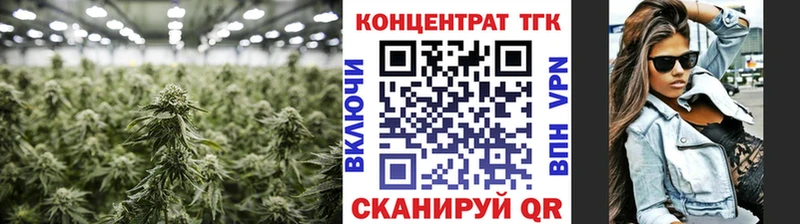 Купить  Кадников  Дистиллят ТГК концентрат 